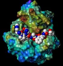 分子生物学